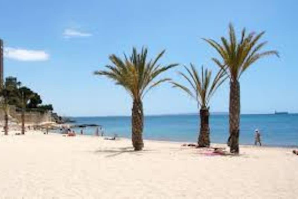 Apartamento Mi Pequena Bahia Alicante Exterior foto